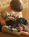 Puppy Love